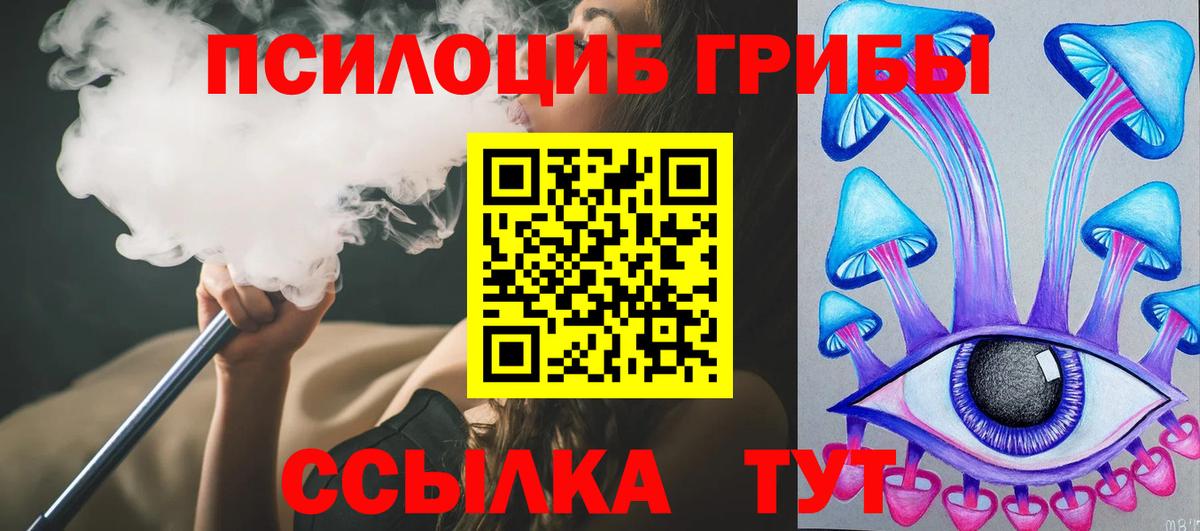 где продают наркотики  Вход с VPN  Богданович  Псилоцибиновые грибы Psilocybine cubensis 